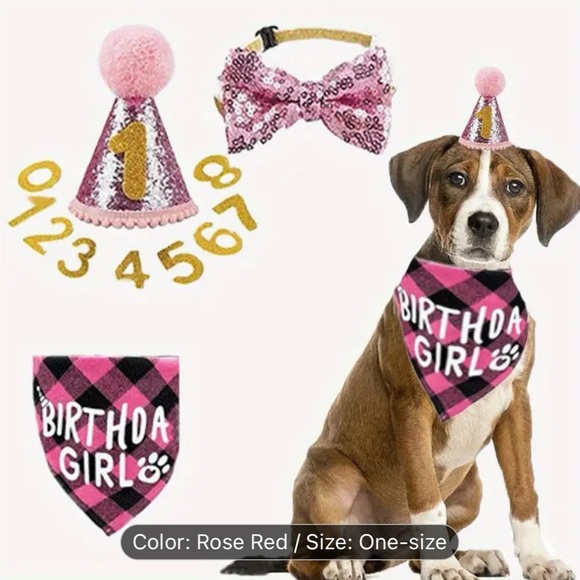 Other - Girl Birthday Set